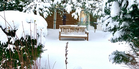 Powiększ grafikę: drodzy-rodzice-i-opiekunowie-671776.jpg